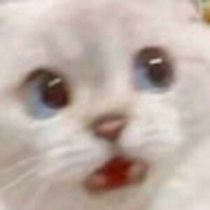 Meet your Posher, Lavinia